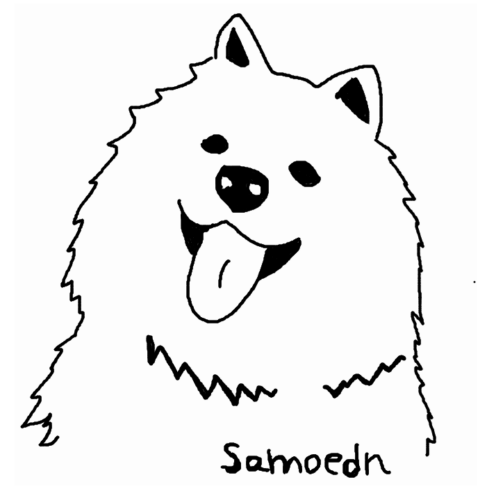 サモエドん